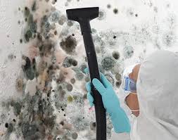 Mold Remediation for Rental Properties in Calumet Park, IL